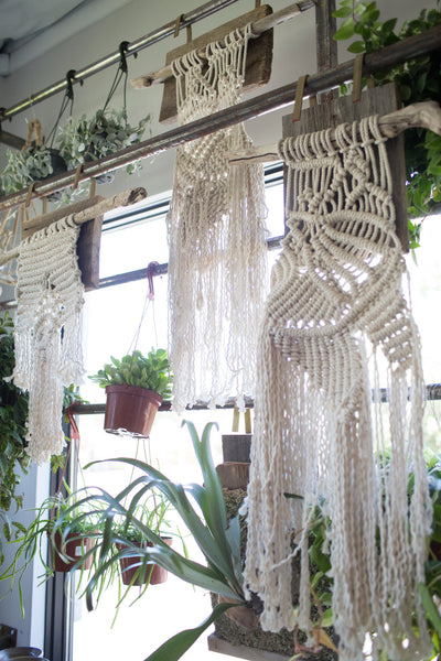 Macrame Wall Hangings