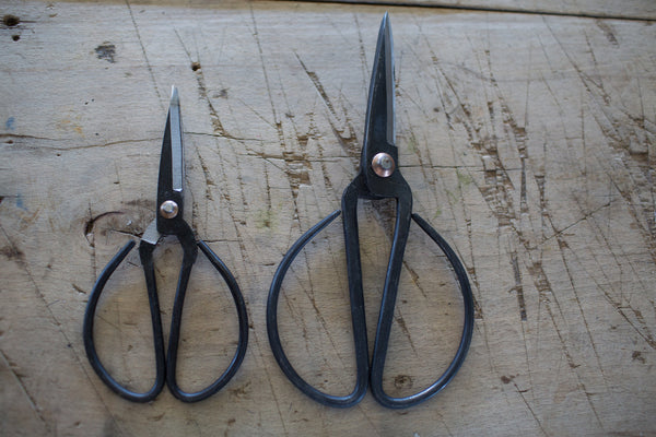 Garden Shears